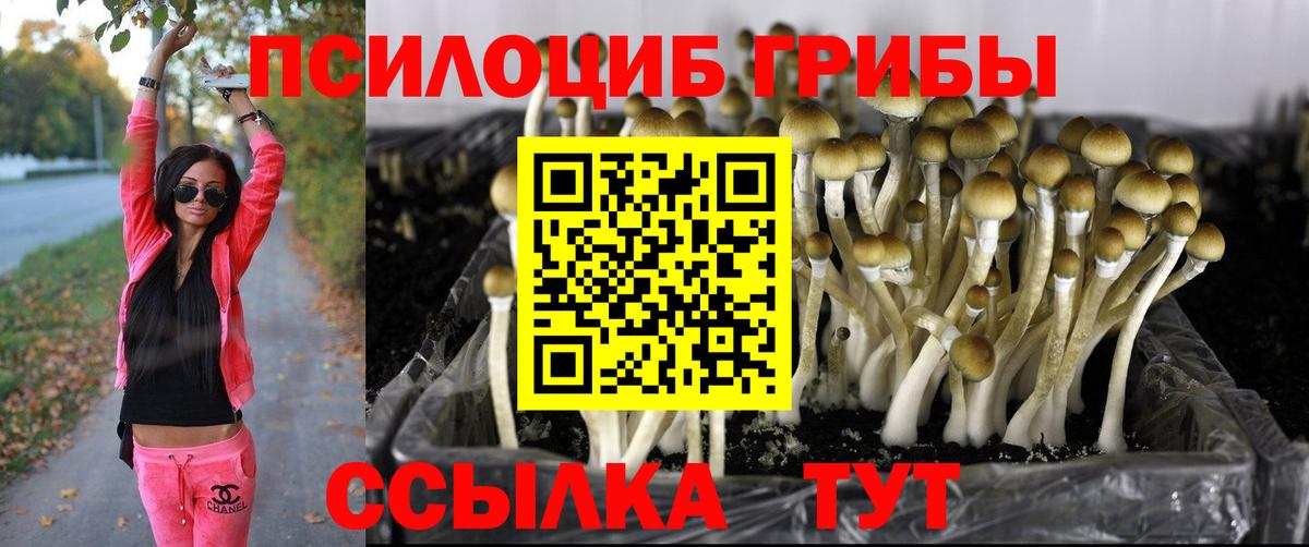 Галлюциногенные грибы мухоморы  Вход с VPN  Заводоуковск 