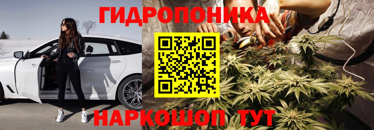 Канабис White Widow  Бошки марихуана AK-47  Заводоуковск  Шишки марихуана конопля  Вход с VPN 