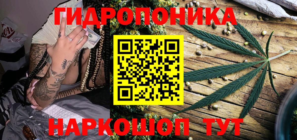 МАРИХУАНА семена Заводоуковск